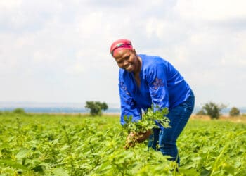 Farming trainer and mentor Portia Mahlobo, monitoring the progress of an award-winning farming cooperative called You Reap What You Sow in Mohlakeng, Randfontein. Photo: Magnificent Mndebele/Food For Mzansi