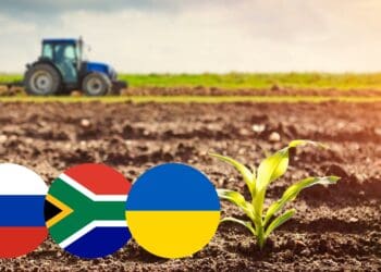 Conflict between Russia and Ukraine have already sent ripples to South Africa. Photo: Supplied/Food For Mzansi