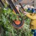 The employment result for the fourth quarter of 2021, experts say are indicative of the growing importance of agriculture to job creation. Photo: Supplied/Food For Mzansi