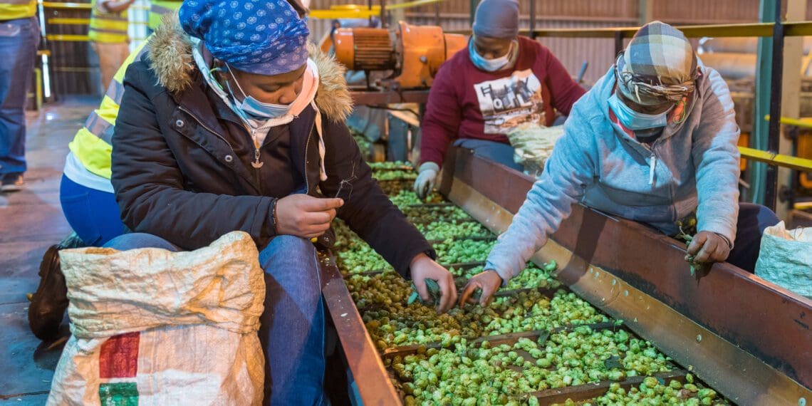 Farm wages: Battle for 'fair' pay continues