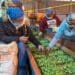Farm wages: Battle for 'fair' pay continues