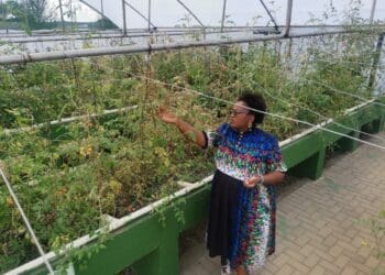 Register for Land Conference 2022