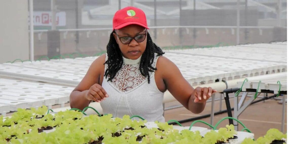 Farmers Choice founder Andile Matukane now has business operations in Gauteng, Limpopo and Mpumalanga. Photo: Supplied/Food For Mzansi