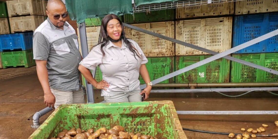 KwaZulu-Natal farming couple Siyabonga Ngcobo and Jabu Mbhele both grew up in families where the value of agriculture was appreciated. Photo: Supplied/Food For Mzansi