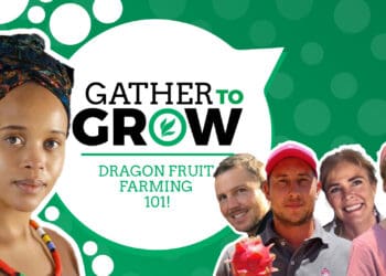 Louw de Wet of FireFruit Farm, CT van der Merwe, AL 3 Boerdery, Jackye Riddle of DragonFruit Patensie, and Lauren Strever, nursery manager at Amorentia Estate and Nursery. Photo: Supplied/Food For Mzansi