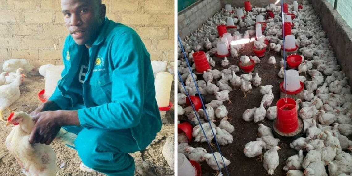 Kagiso Dibakoane farms in the Moloro village in Bushbuckridge, Mpumalanga where he was born and raised. Photos: Supplied/Food For Mzansi