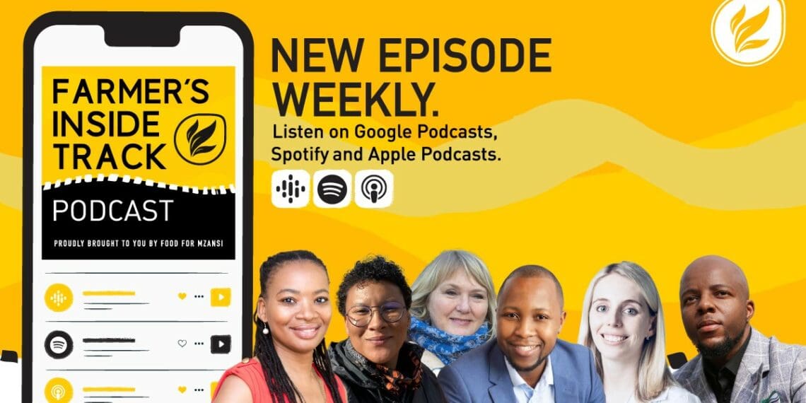 This week's podcast features Zamo Shongwe, Tamsin Davids, Sandra van Eeden, Lunathi Hlakanyane, Magdeleen Cilliers and Lungelo Nkwanya. Photos: Supplied/Food for Mzansi
