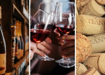 As a direct result of the Covid-19 pandemic, the South African wine industry has already lost more than 29 000 jobs. Photos: Supplied/Food For Mzansi