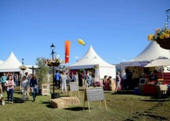 South Africa awaits a decision by government to scrap the state of disaster. This will revive agricultural shows in the country that have not been able to host events for the past two years due to Covid-19 restrictions. Photo: Supplied/Food For Mzansi