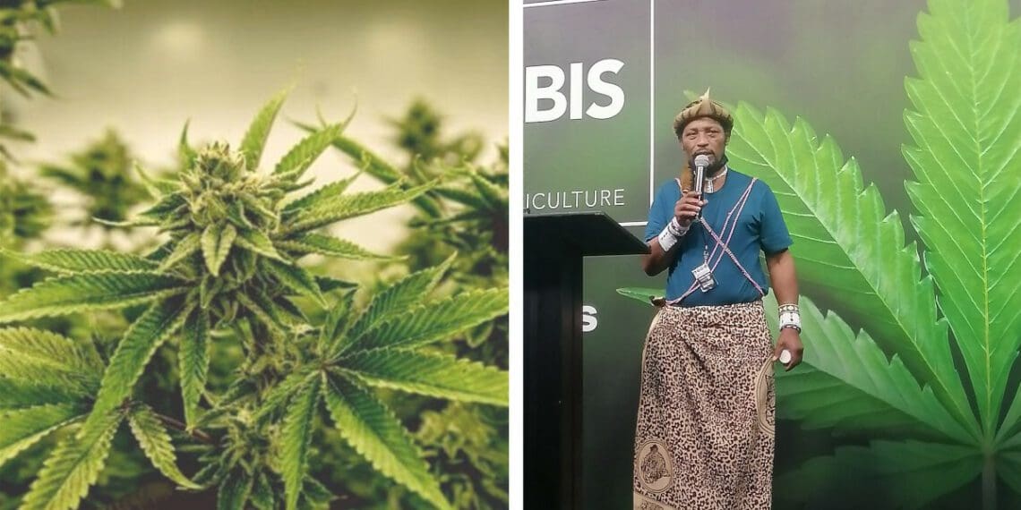 The Cape Town leg of the Cannabis Expo once again highlighted the plight of small-scale growers who stand to lose out to the potentially lucrative industry. Photos: Supplied/Food for Mzansi