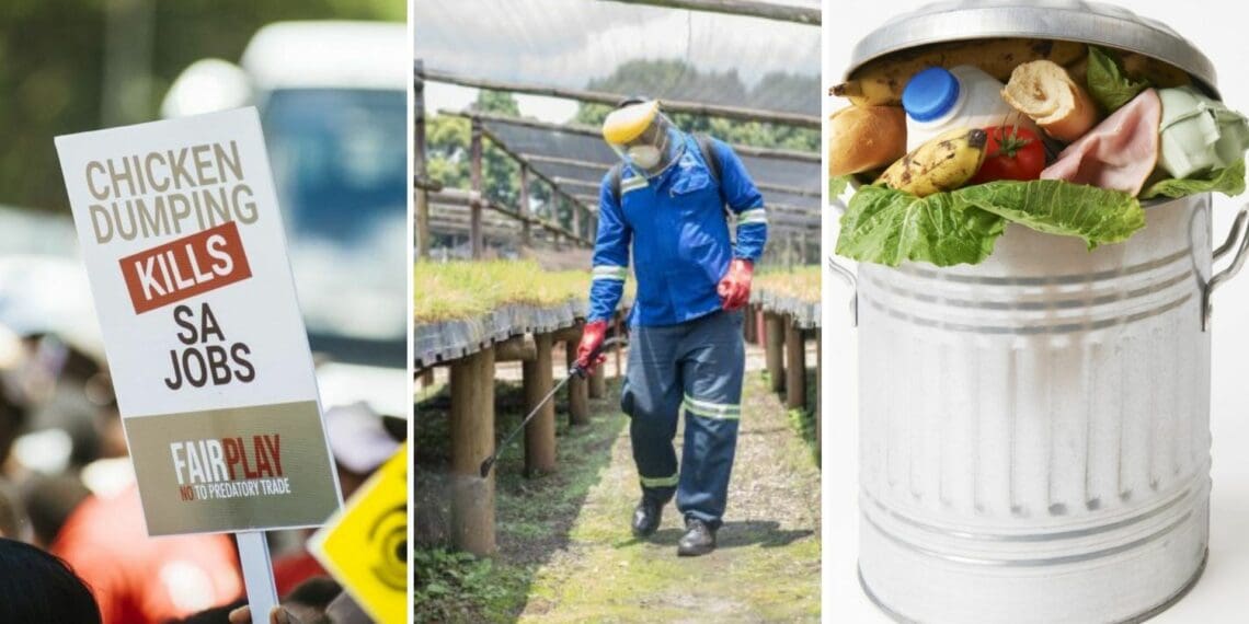 Here are some agriculture events your should take note of this week. Photo: Supplied/Food For Mzansi