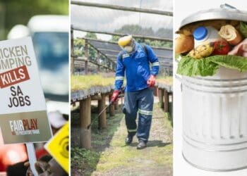 Here are some agriculture events your should take note of this week. Photo: Supplied/Food For Mzansi