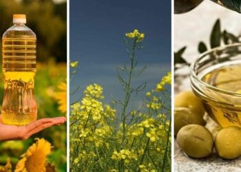 A global shortage in cooking oil could place severe strain on South African consumer wallets experts say. Photo: Supplied/Food For Mzansi