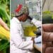 The new crop research platform, based at the University of the Free State, will also include a training academy for small-scale producers. Photo: Food For Mzansi