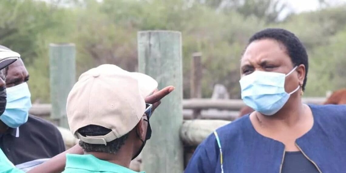 Agri minister Thoko Didiza on a day of talks with several communal property associations in North West: Khutso-Naketsi, Mekgareng, Bakgatla Ba Mosetlha, and Dikgatlhong. Photo: Supplied/DALRRD