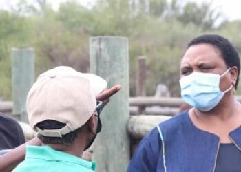 Agri minister Thoko Didiza on a day of talks with several communal property associations in North West: Khutso-Naketsi, Mekgareng, Bakgatla Ba Mosetlha, and Dikgatlhong. Photo: Supplied/DALRRD