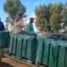 Grapes are coming in at the Diemersfontein Wine Estate in the Western Cape. Photo: Supplied/Food For Mzansi