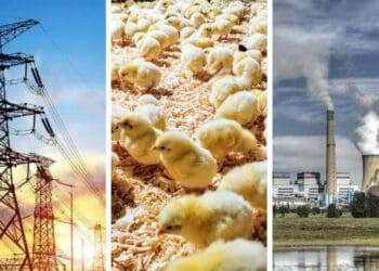 Load shedding is now relentless in its impact on the agricultural sector. Photos: Supplied/Food For Mzansi