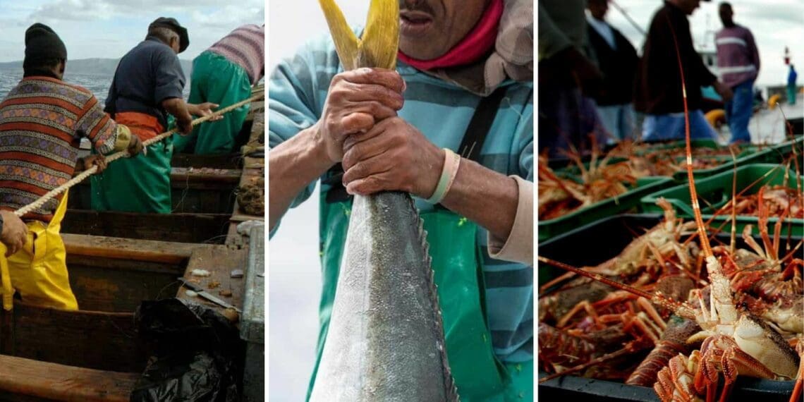The window period for fishing rights appeals closed on 29 July 2022. Photo: Supplied/Food For Mzansi