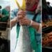 The window period for fishing rights appeals closed on 29 July 2022. Photo: Supplied/Food For Mzansi