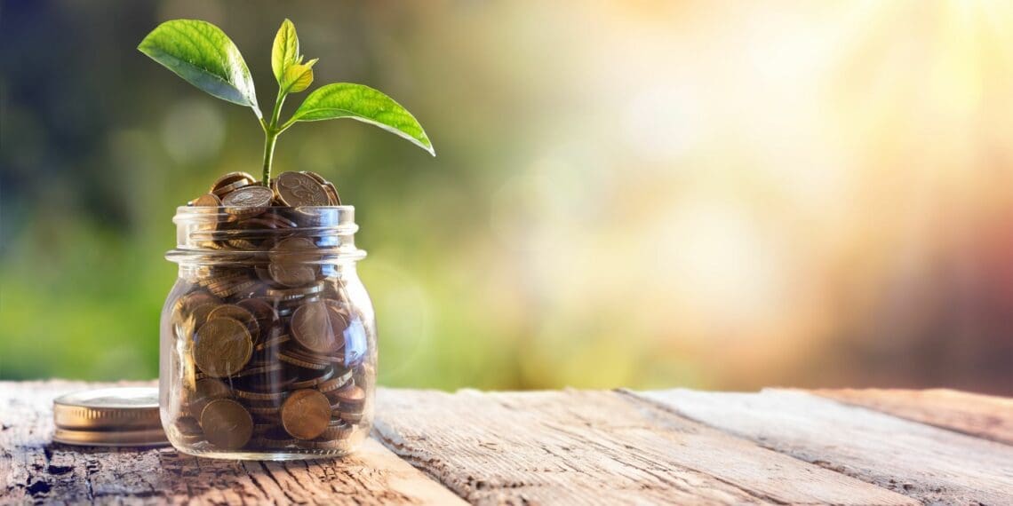 The agriculture sector shows an “impressive rebound” of 12.2% when compared to the fourth quarter of 2020, says a leading economist. Photo: Supplied/Food For Mzansi
