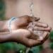 Thousands of South African farmers and citizens have experienced acute or chronic water shortages in recent years, both because of drought and water system failures. Photo: Supplied/Food For Mzansi