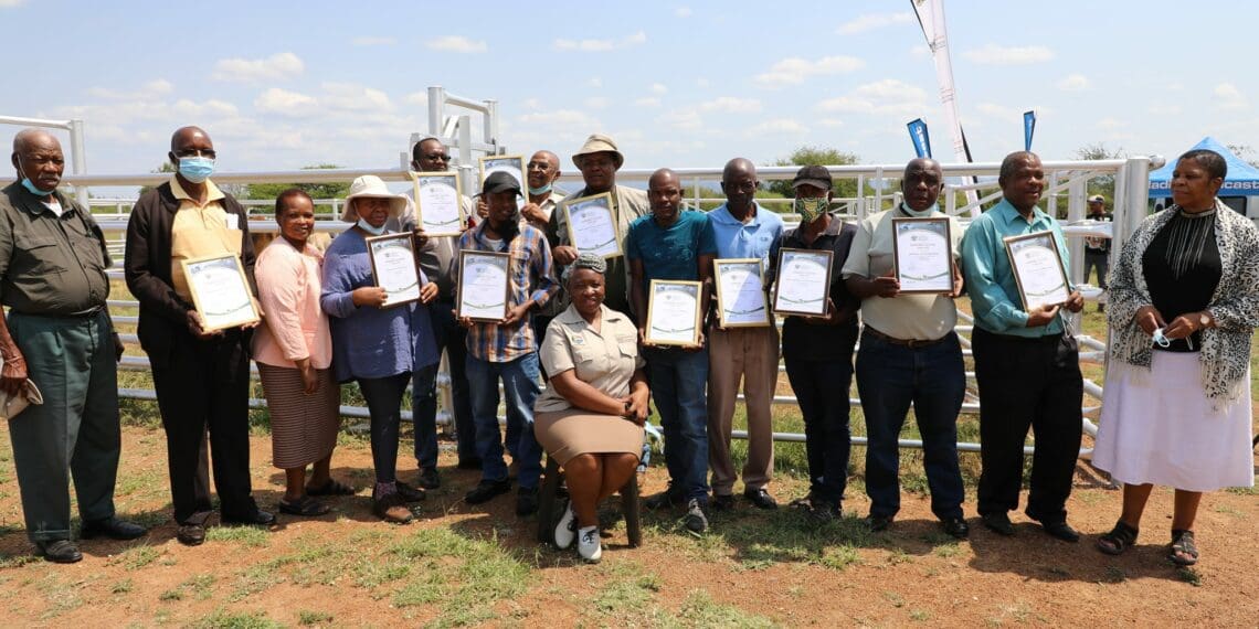 MEC Desbo Mohono (seated) with livestock farmers in North West who recently received donations of livestock facilities from their provincial government. Photo: Supplied/Food For Mzansi