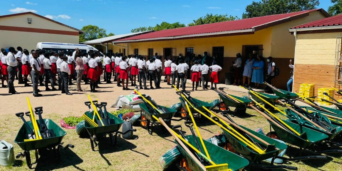 Minister of agriculture Thoko Didiza donated gardening tools and seedlings in Hammarsdale, KwaZulu-Natal as part her campaign to resuscitate school gardens. Photo: Supplied/Food For Mzansi