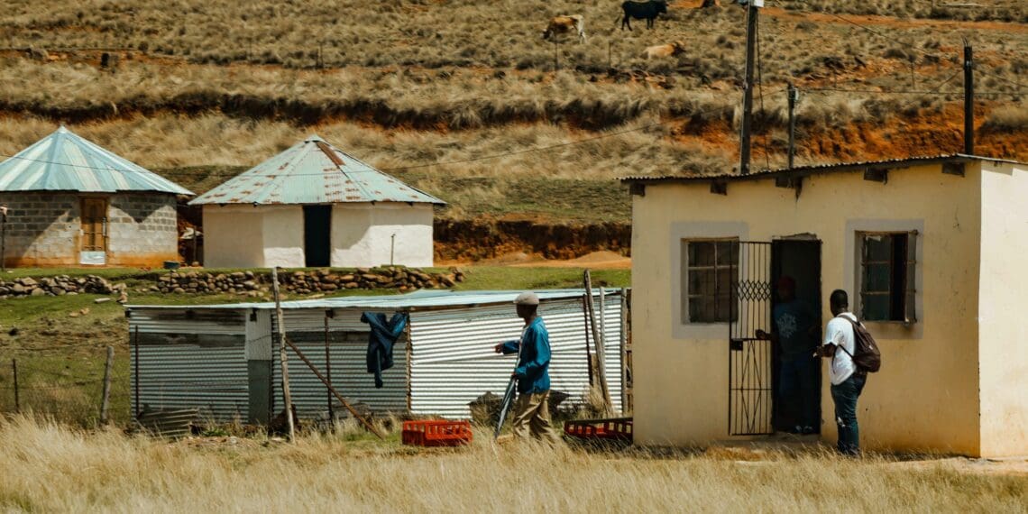 Agricultural businesses have a duty to assist municipalities that are buckling under the pressure of load shedding, in their areas of influence, says one expert. Photo: Supplied/Food For Mzansi