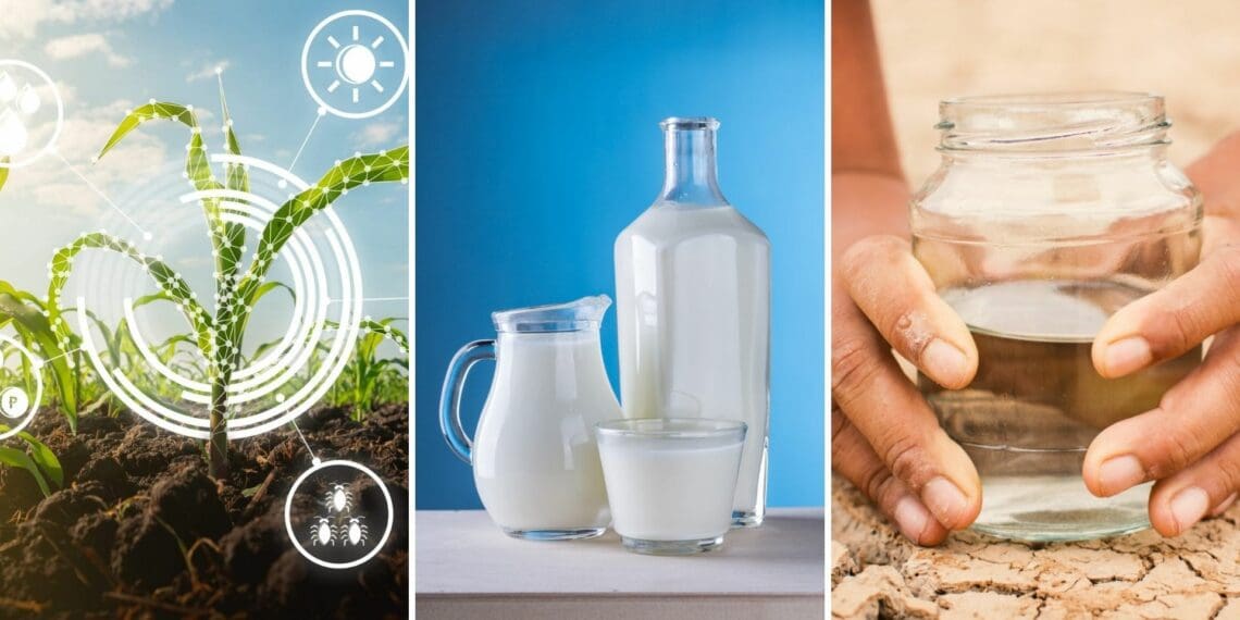 Here are some agriculture events your should take note of happening this week. Photo: Supplied/Food For Mzansi