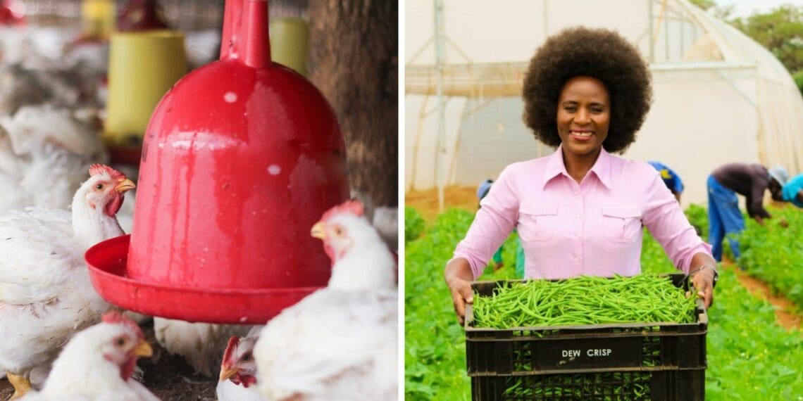 Dr Ethel Zulu-Mokwele, a farmer and nutritionist, will present Food For Mzansi’s upcoming broiler production workshop in Pretoria. Photos: Supplied/Food For Mzansi