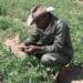 Every two weeks, Kolobe Lebepe trades his army uniform for his grubby work suit on his farm in Limpopo’s Moletši Ga-Komape village. Photo: Manare Matabola/Food For Mzansi