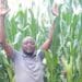 With his hands stretched to the sky, Happy Letsitsa is well pleased with his decision to start farming in Welkom in the Free State. Photo: Supplied/Food For Mzansi
