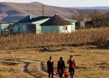 The deciduous fruit industry believes it has an obligation towards fostering growth in rural communities. Photo: Supplied/Food For Mzansi
