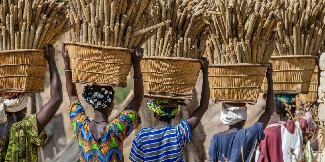 Seda supports women in agriculture and they urge entrepreneurs to contact the organisation for support. Photo: sap.com