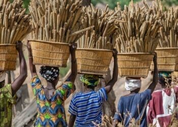 Seda vows to empower more women agripreneurs
