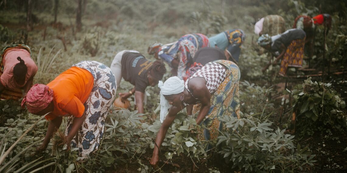 Climate change is a major threat to agriculture and food security. The war against climate change, while everyone's fight, is however raising serious questions around gender equality and the participation of women. Photo:Supplied/Food For Mzansi