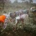 Climate change is a major threat to agriculture and food security. The war against climate change, while everyone's fight, is however raising serious questions around gender equality and the participation of women. Photo:Supplied/Food For Mzansi