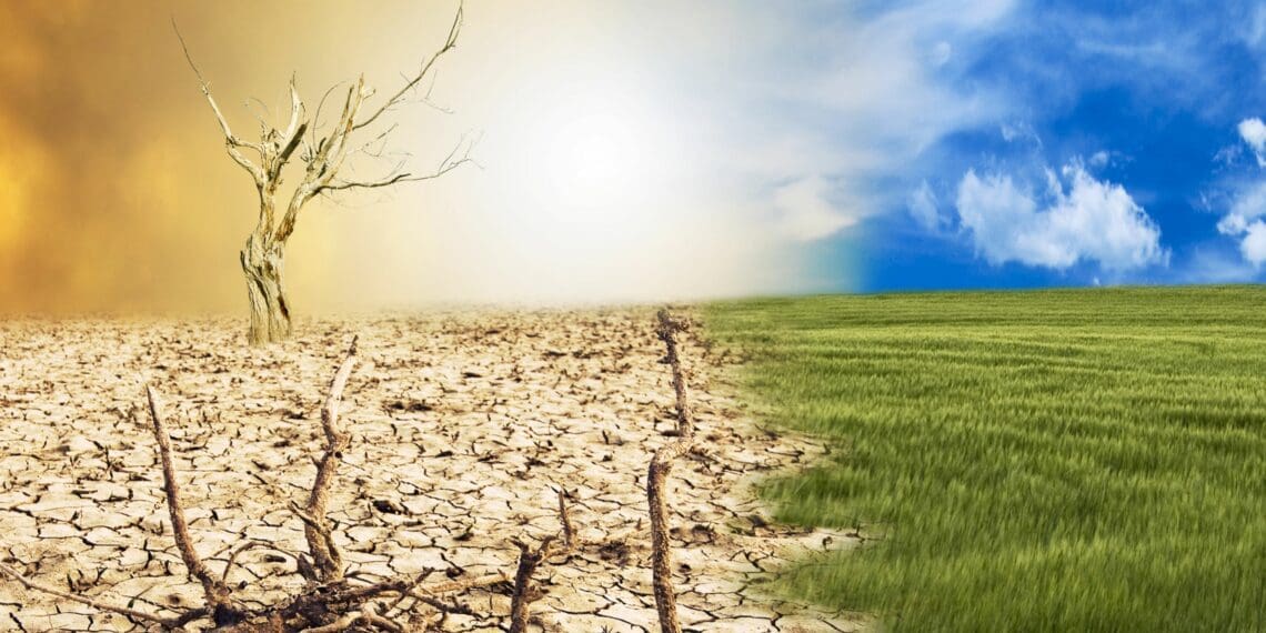 In its current form, the climate change bill gives sectors just one year to develop adaptation strategies to prepare for both present and future climate shocks. Photo: Supplied/Food For Mzansi