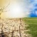 In its current form, the climate change bill gives sectors just one year to develop adaptation strategies to prepare for both present and future climate shocks. Photo: Supplied/Food For Mzansi