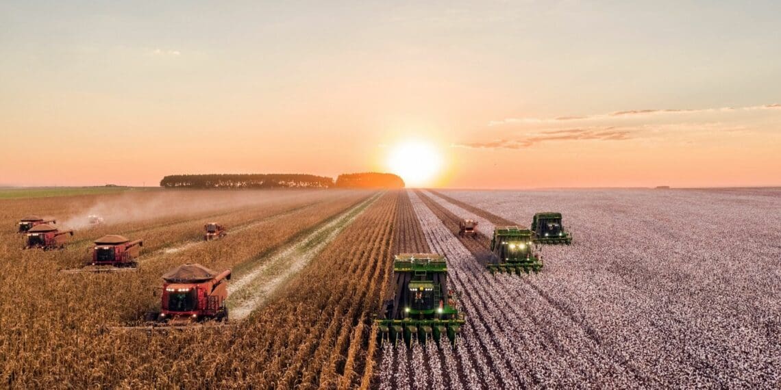 Agriculture in South Africa faces a variety of risks associated with climate change, such as changes in rain patterns, increased evaporation rates, higher temperatures and increased pests and diseases. Photo: Supplied/Food For Mzansi