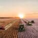 Agriculture in South Africa faces a variety of risks associated with climate change, such as changes in rain patterns, increased evaporation rates, higher temperatures and increased pests and diseases. Photo: Supplied/Food For Mzansi