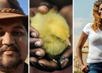 Whernit Dirks (left) is a grain, rooibos and sheep farmer from Piketberg in the Western Cape. On the right is Vuthlari Chauke, a herb and vegetable farmer from Tarlton, Gauteng. Photos: Supplied/Food For Mzansi