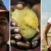Whernit Dirks (left) is a grain, rooibos and sheep farmer from Piketberg in the Western Cape. On the right is Vuthlari Chauke, a herb and vegetable farmer from Tarlton, Gauteng. Photos: Supplied/Food For Mzansi