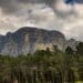 According to researchers clearing alien trees can help reduce climate change impact on Cape Town’s water supply. Photo: Supplied/Food For Mzansi