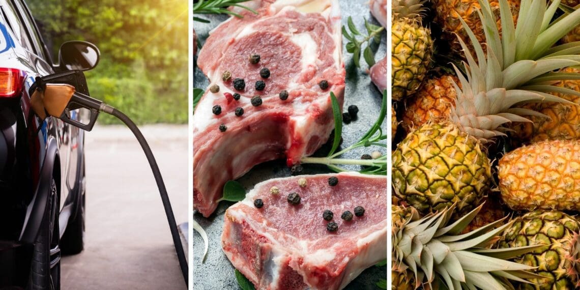 Fuel levy: An all-time high fuel price will have a severe impact on food spending patterns, warn experts. The price for lamb loin chops has already reached R185 per kilogram. Thankfully, most fruits are considerably cheaper than a year ago. Photos: Supplied/Food For Mzansi