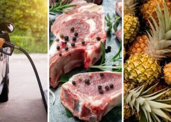 Fuel levy: An all-time high fuel price will have a severe impact on food spending patterns, warn experts. The price for lamb loin chops has already reached R185 per kilogram. Thankfully, most fruits are considerably cheaper than a year ago. Photos: Supplied/Food For Mzansi