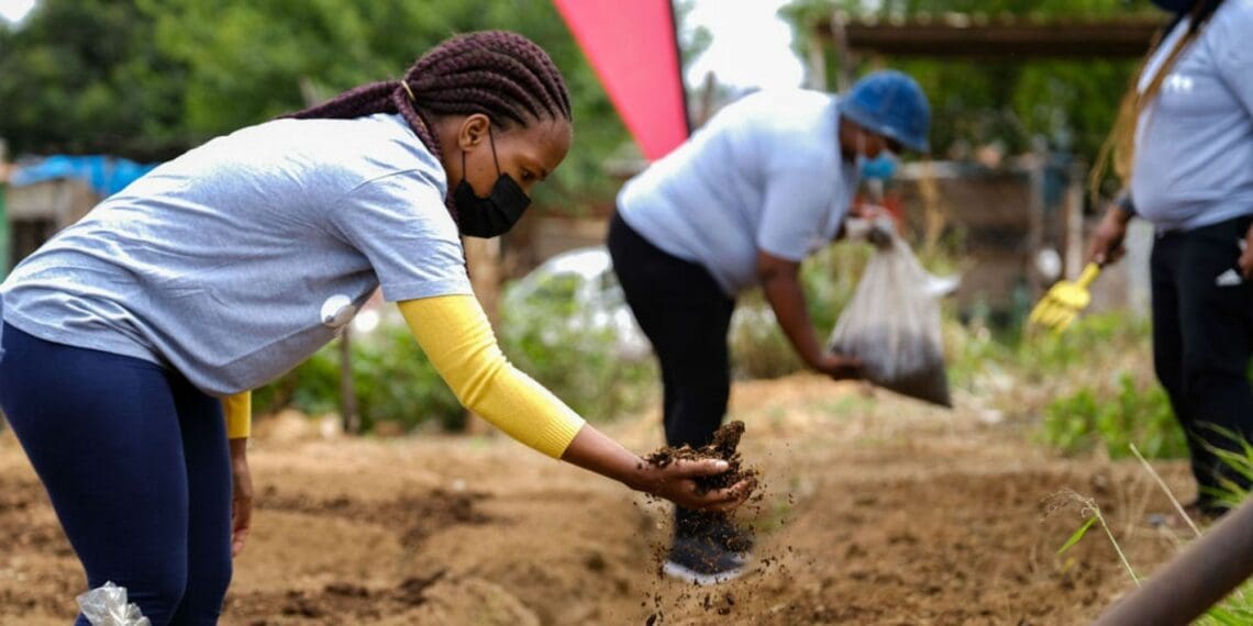 Vodacom has announced its support for eight early childhood development centres where participants will benefit from food gardens. Photo: Supplied/Food For Mzansi