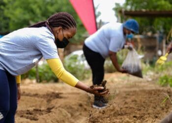 Vodacom has announced its support for eight early childhood development centres where participants will benefit from food gardens. Photo: Supplied/Food For Mzansi