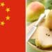 Since 17 January 2022, fresh pears from South Africa can now be exported to China after the country signed the protocol of phytosanitary requirements. Photos: Supplied/Food For Mzansi